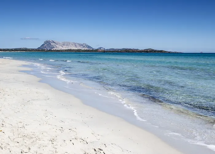 Ξενοδοχείο Al Faro